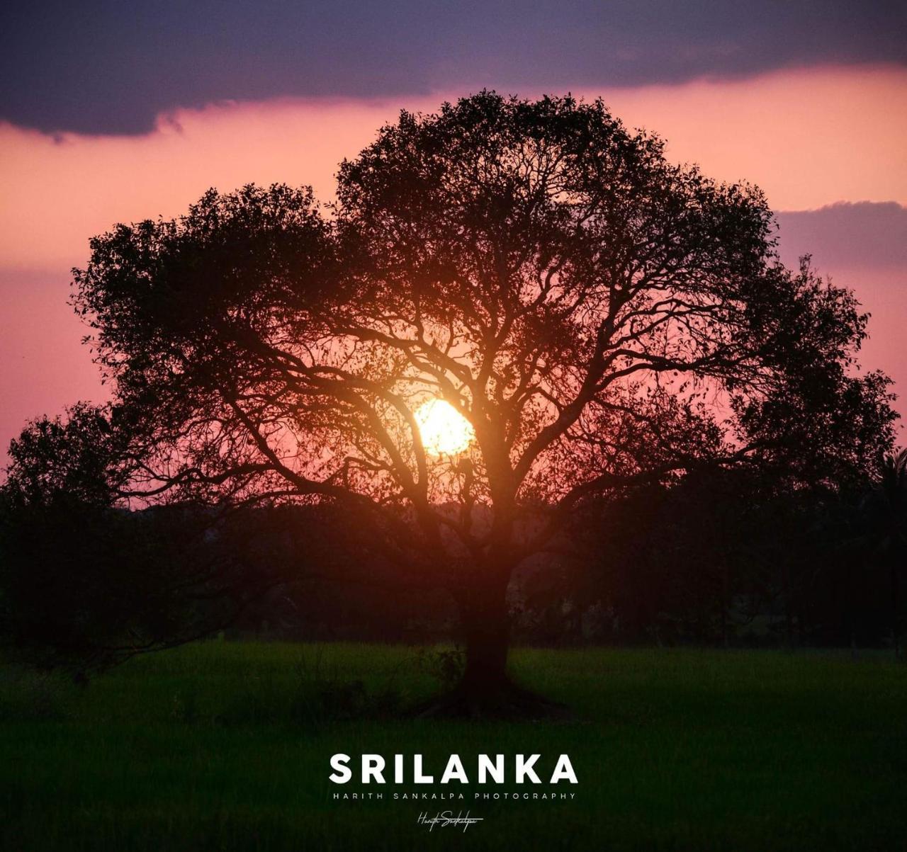 Mindana Residence Anuradhapura Luaran gambar